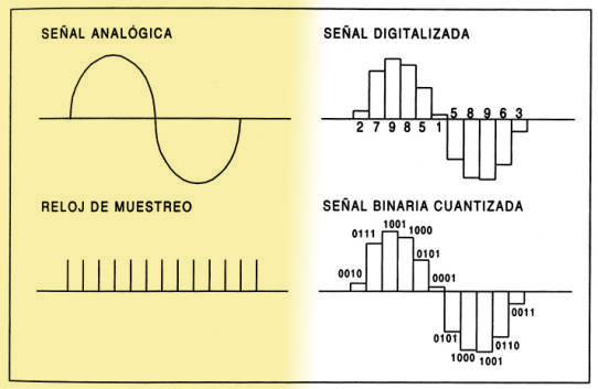 Imagen de Digital